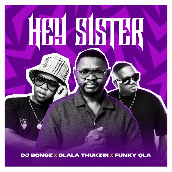 Hey Sister - Single album cover