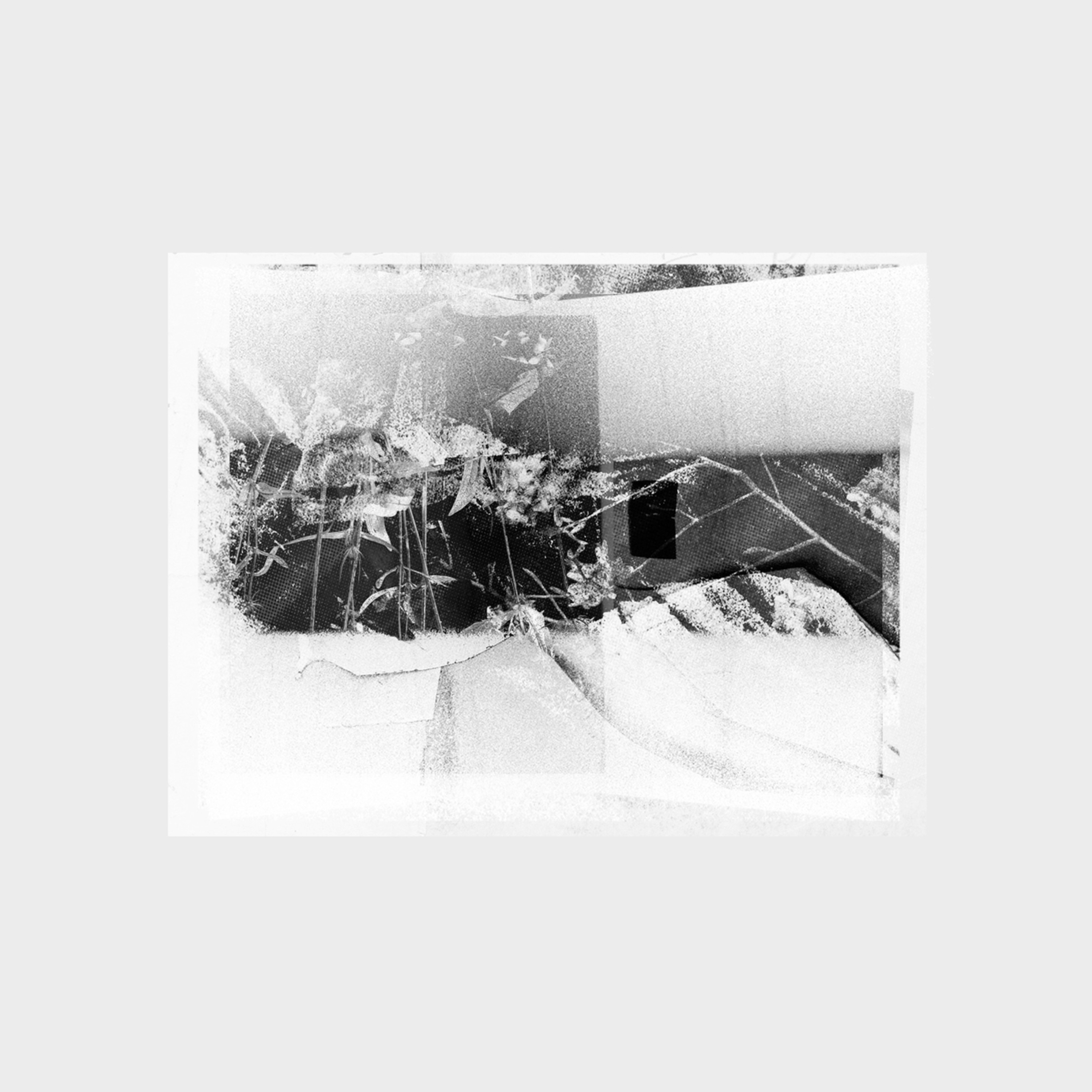 Body Arched - EP album cover