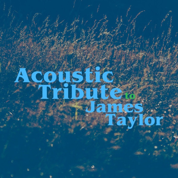 Acoustic Guitar: Tribute to James Taylor album cover
