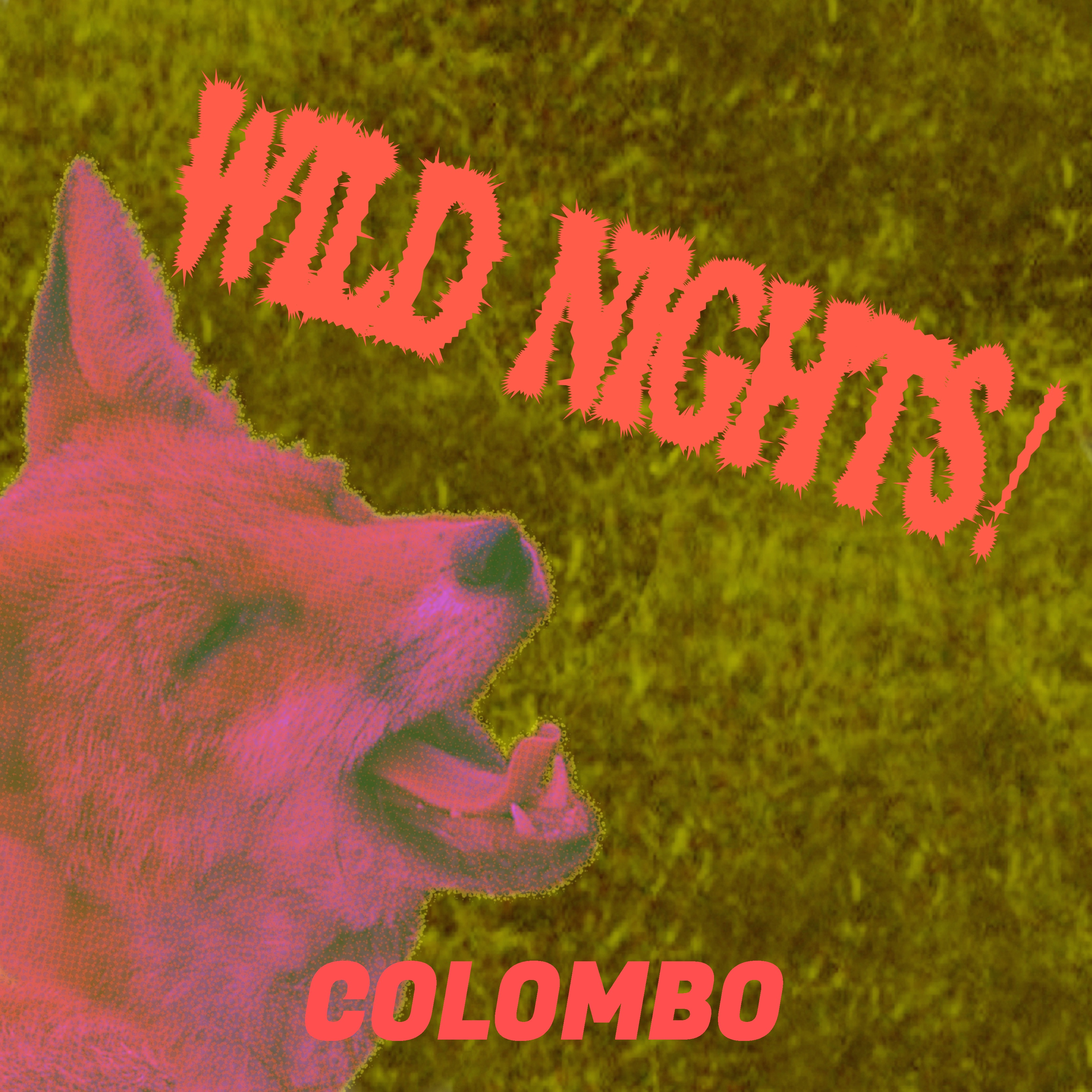 Wild Nights - Single album cover