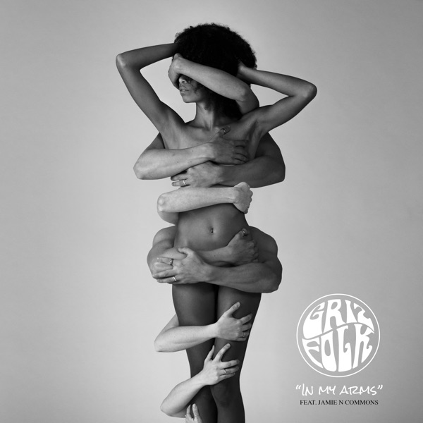 In My Arms (feat. Jamie N Commons) - Single album cover