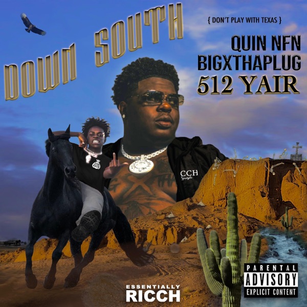 Down South (feat. BigXthaPlug) - Single album cover