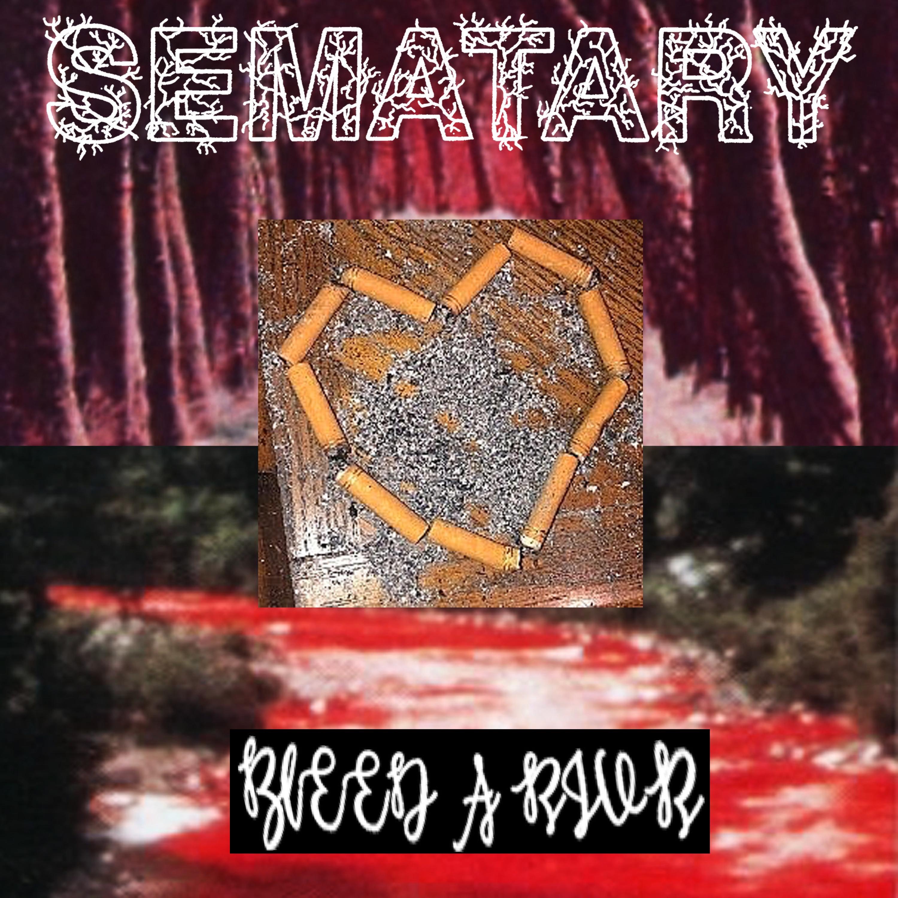 Bleed a River - Single album cover