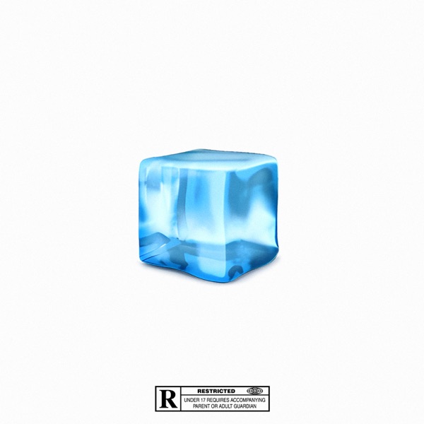 New Ice - Single album cover