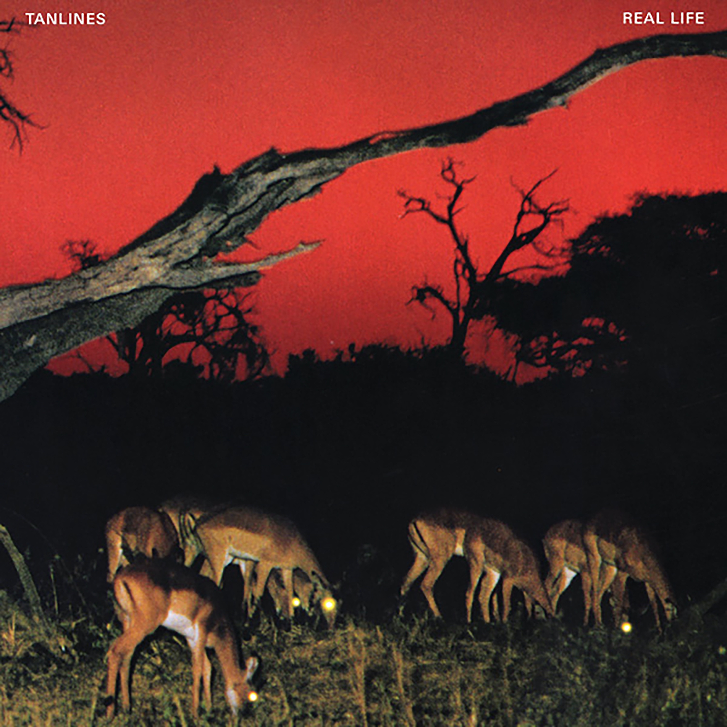 Real Life - Single album cover