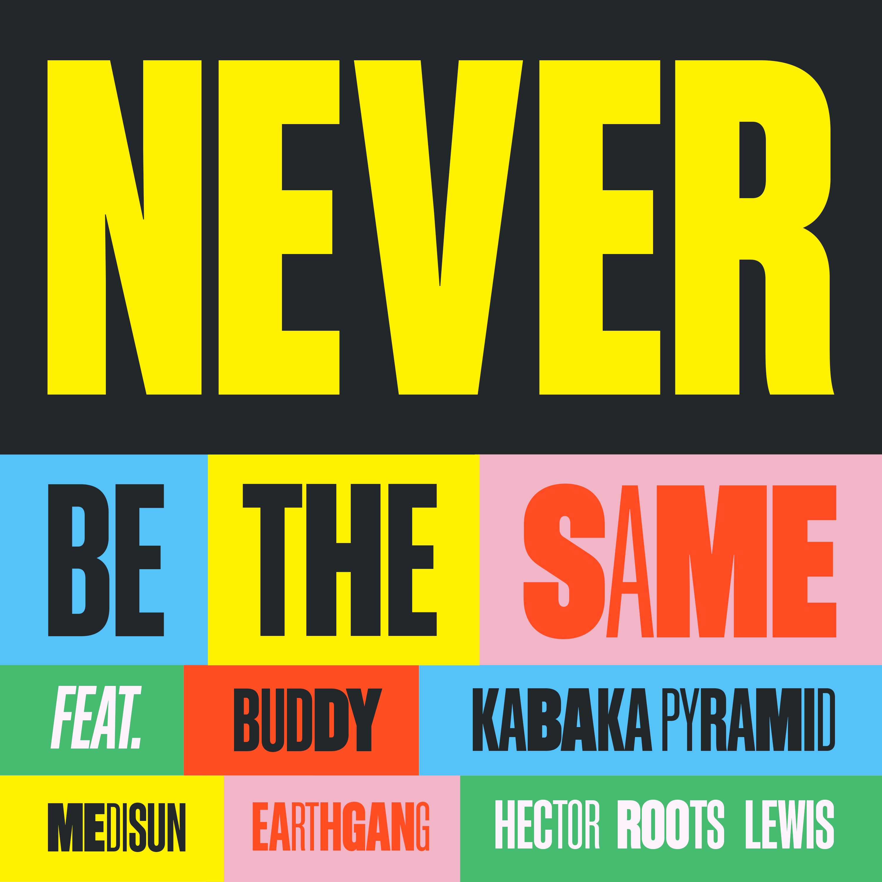Never Be The Same (feat. Buddy, MediSun & Hector Roots Lewis) - Single album cover