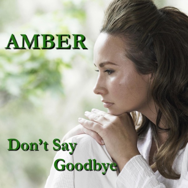 Don't Say Goodbye - Single (3/4 Dance Remix) album cover