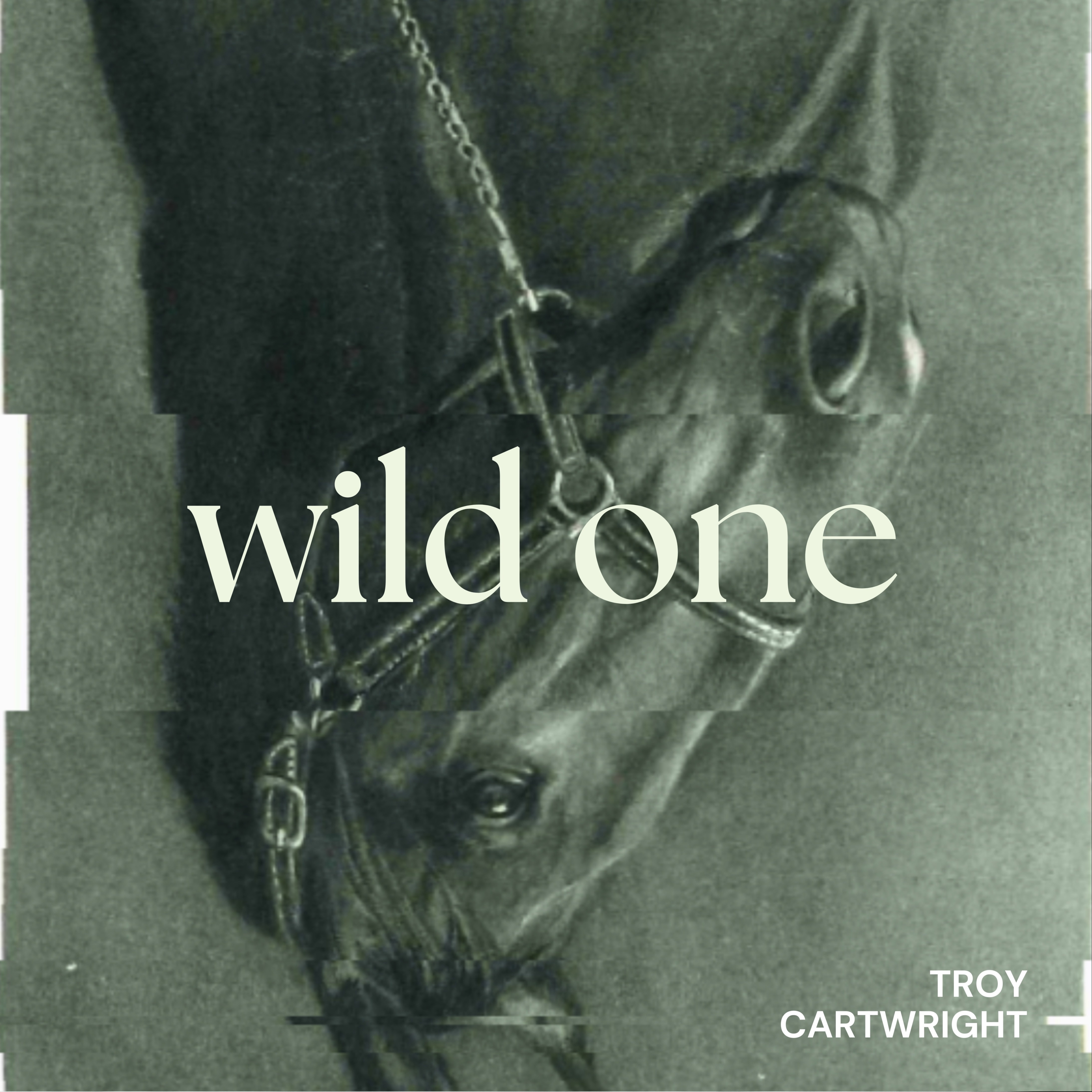 Wild One - Single album cover