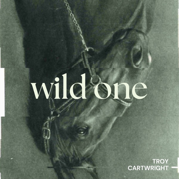 Wild One - Single album cover