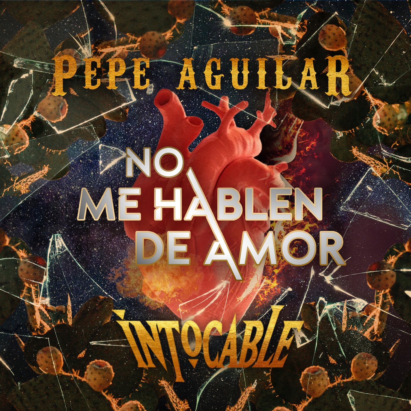 No Me Hablen de Amor - Single album cover