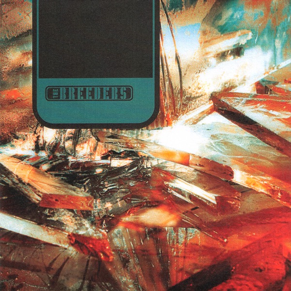 We're Gonna Rise - Single album cover