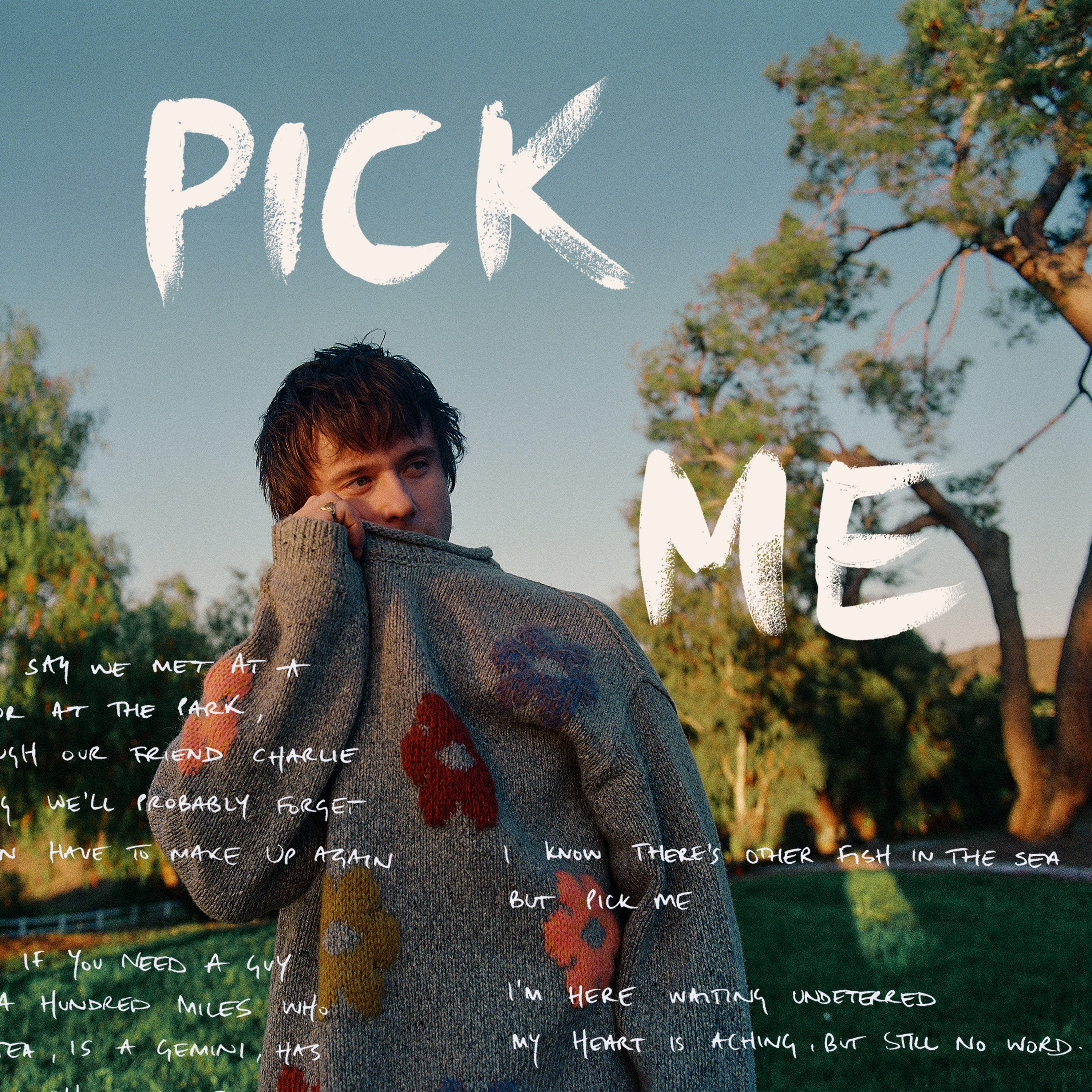 Pick Me - Single album cover