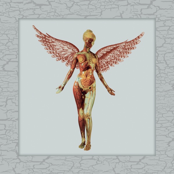 In Utero (30th Anniversary Super Deluxe) album cover