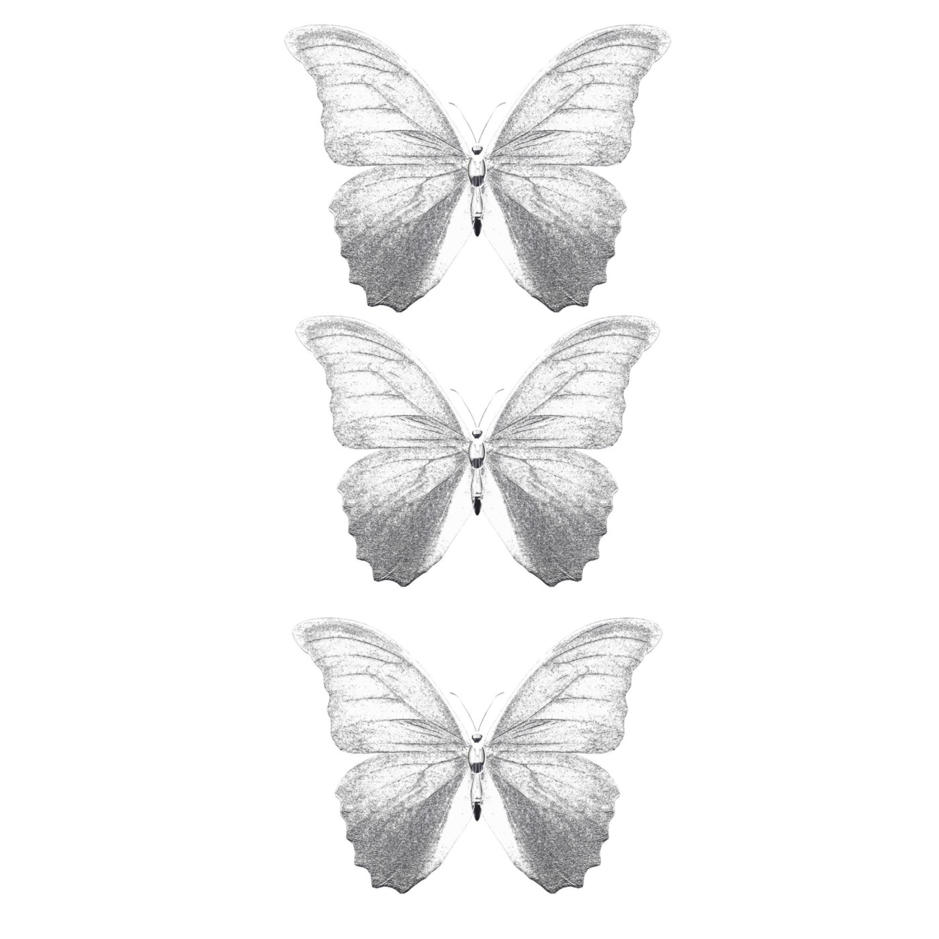 Trepidation (feat. Ant from SevVven) - Single album cover