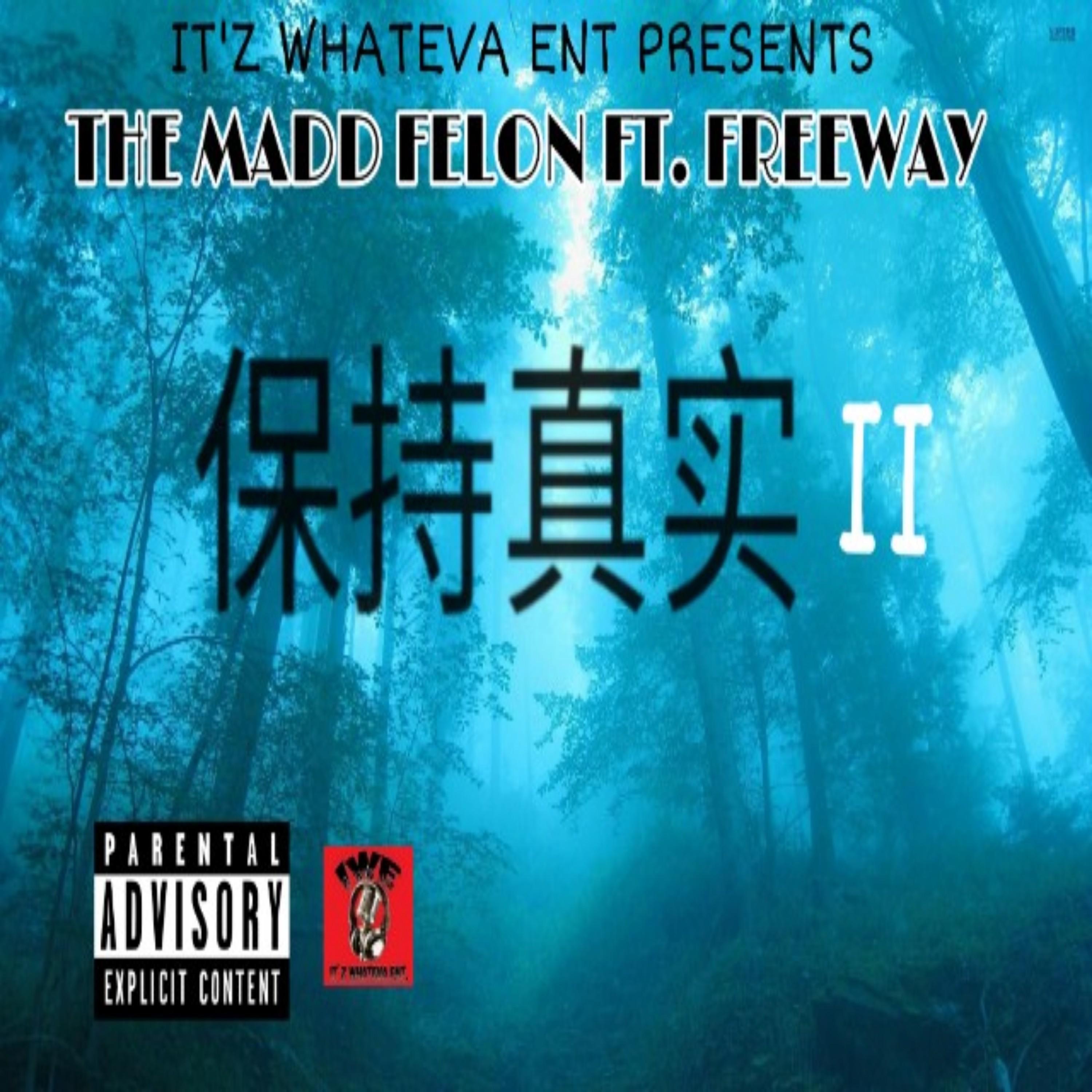 Keep It True, Pt. 2 (feat. Freeway) - Single album cover