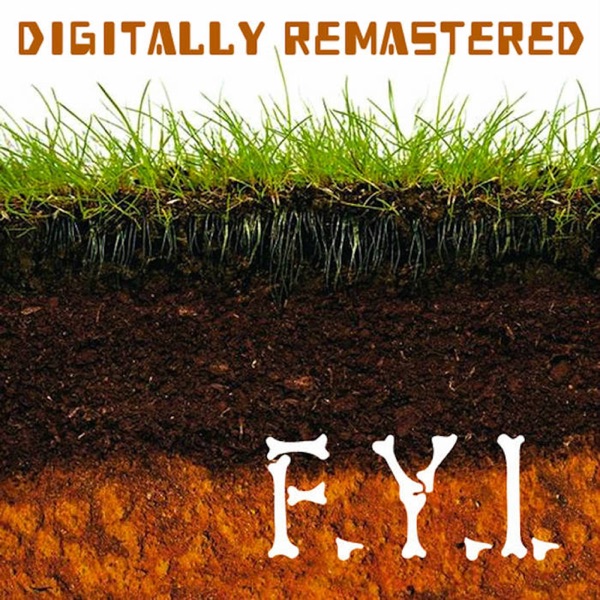 F.Y.I. (Digitally Remastered) album cover