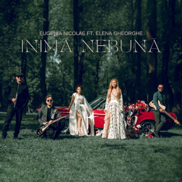 Inimă nebună (feat. Elena Gheorghe) - Single album cover