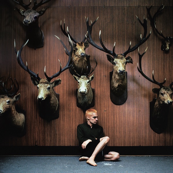 Deer Teeth - Single album cover