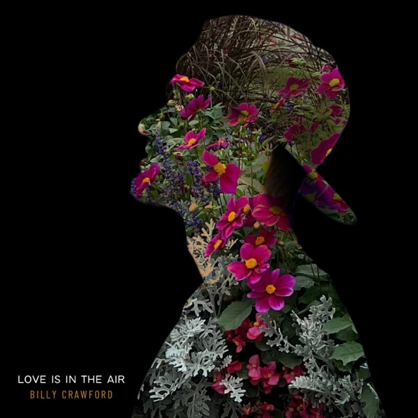 Love Is In The Air - Single album cover