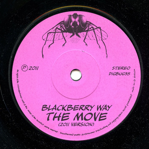 Blackberry Way (Roy Wood 2011 Remix) - Single album cover