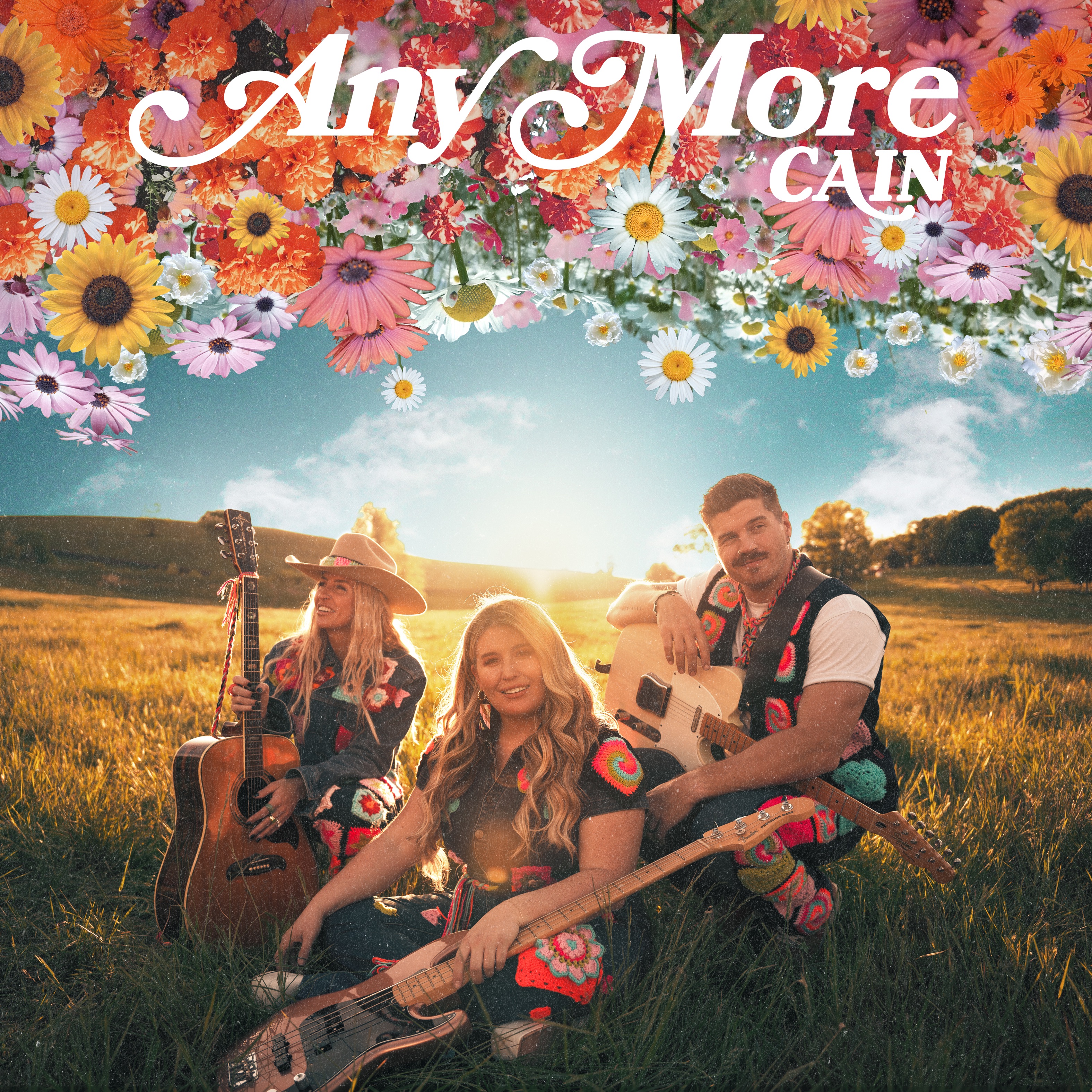 Any More - Single album cover