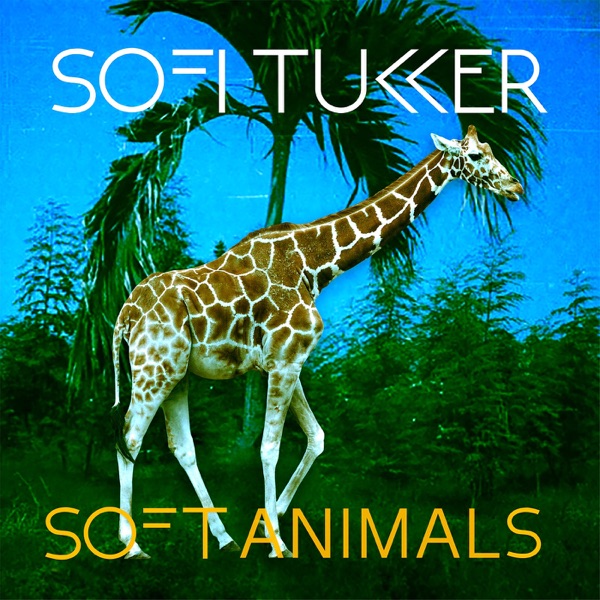 Soft Animals - EP album cover
