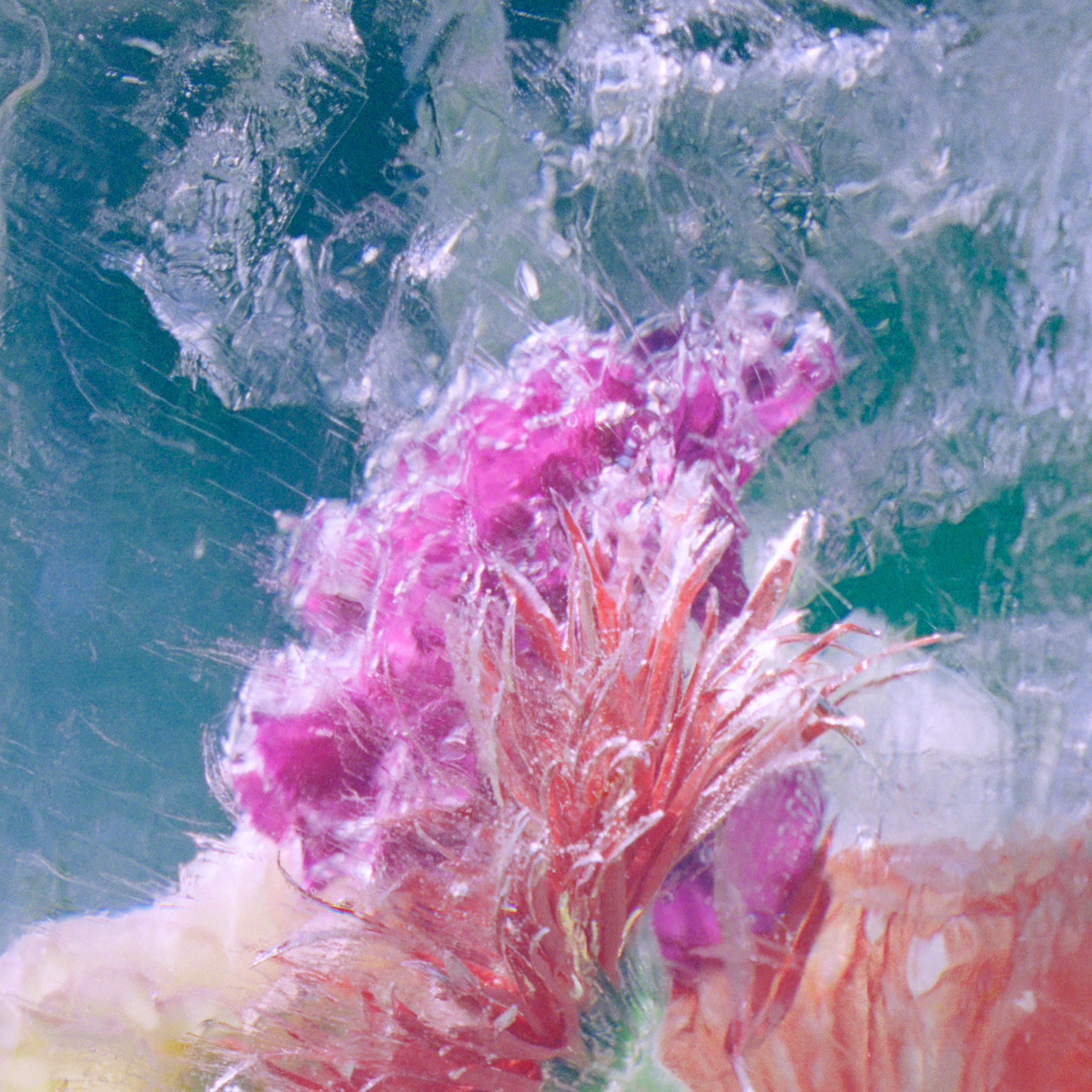 Plexiglass - EP album cover