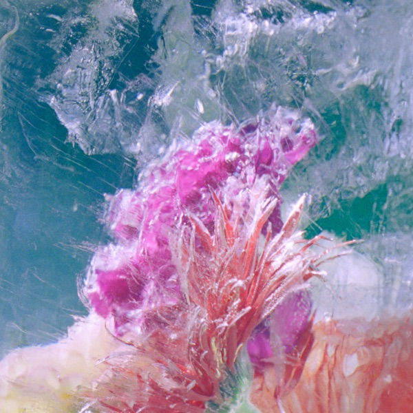 Plexiglass - EP album cover