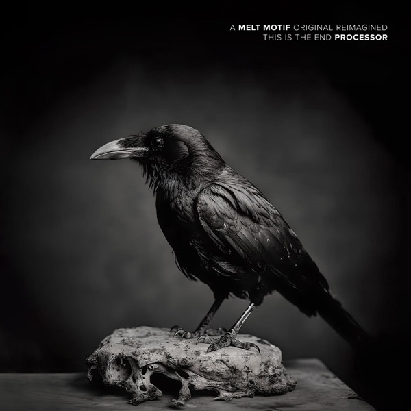 This Is the End - Single album cover