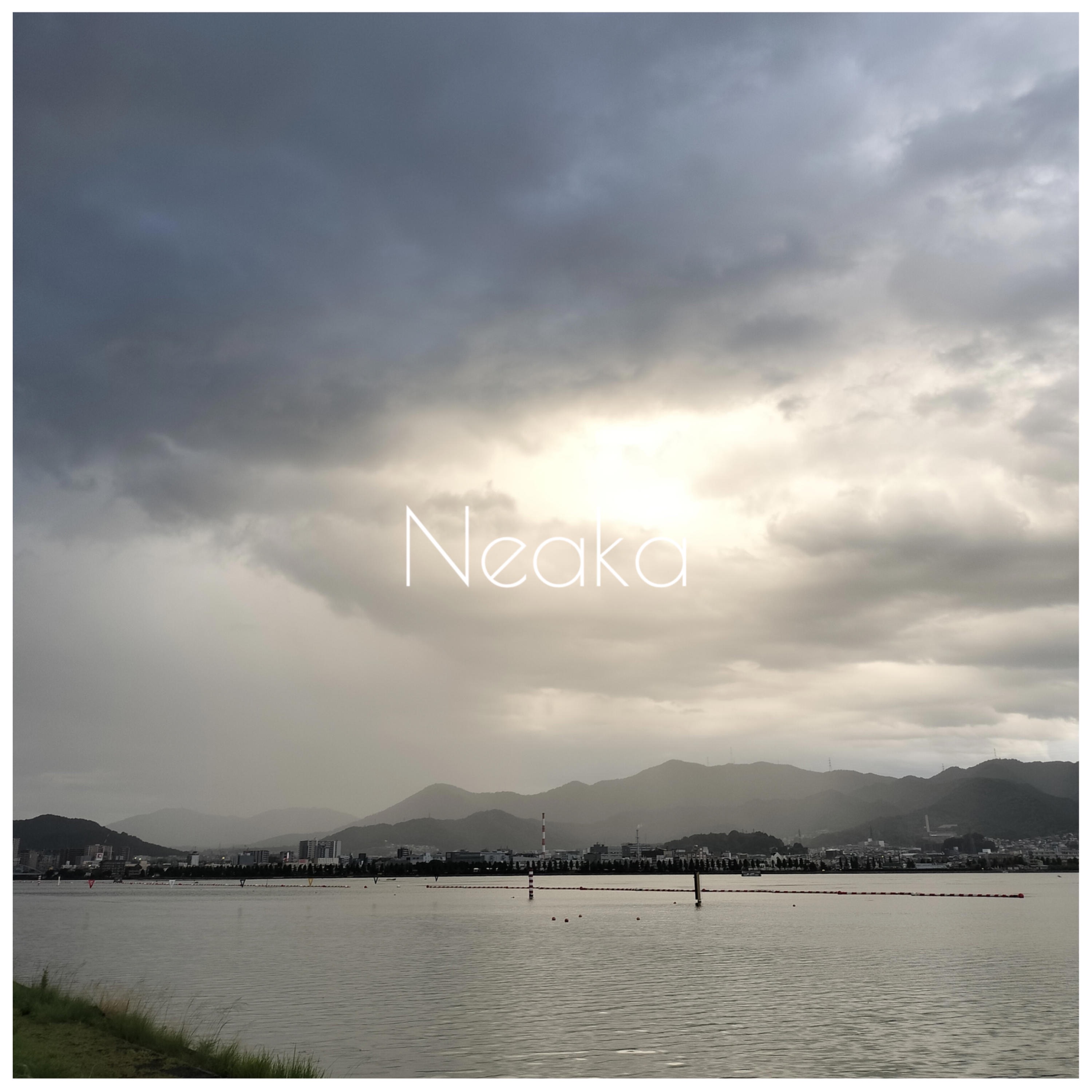 Neaka album cover