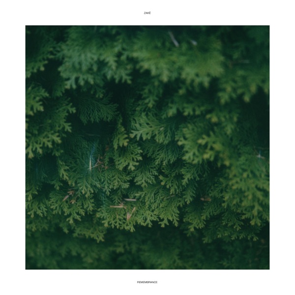 Remembrance album cover