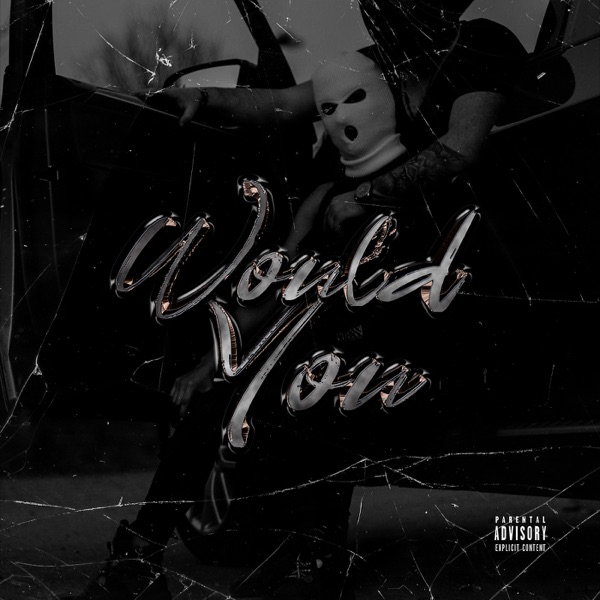 Would You (feat. Bow Wow) - Single album cover