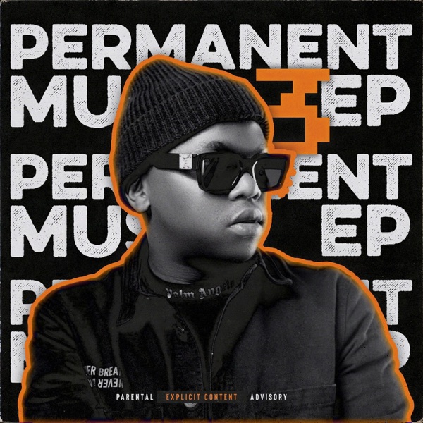 Permanent Music 3 album cover
