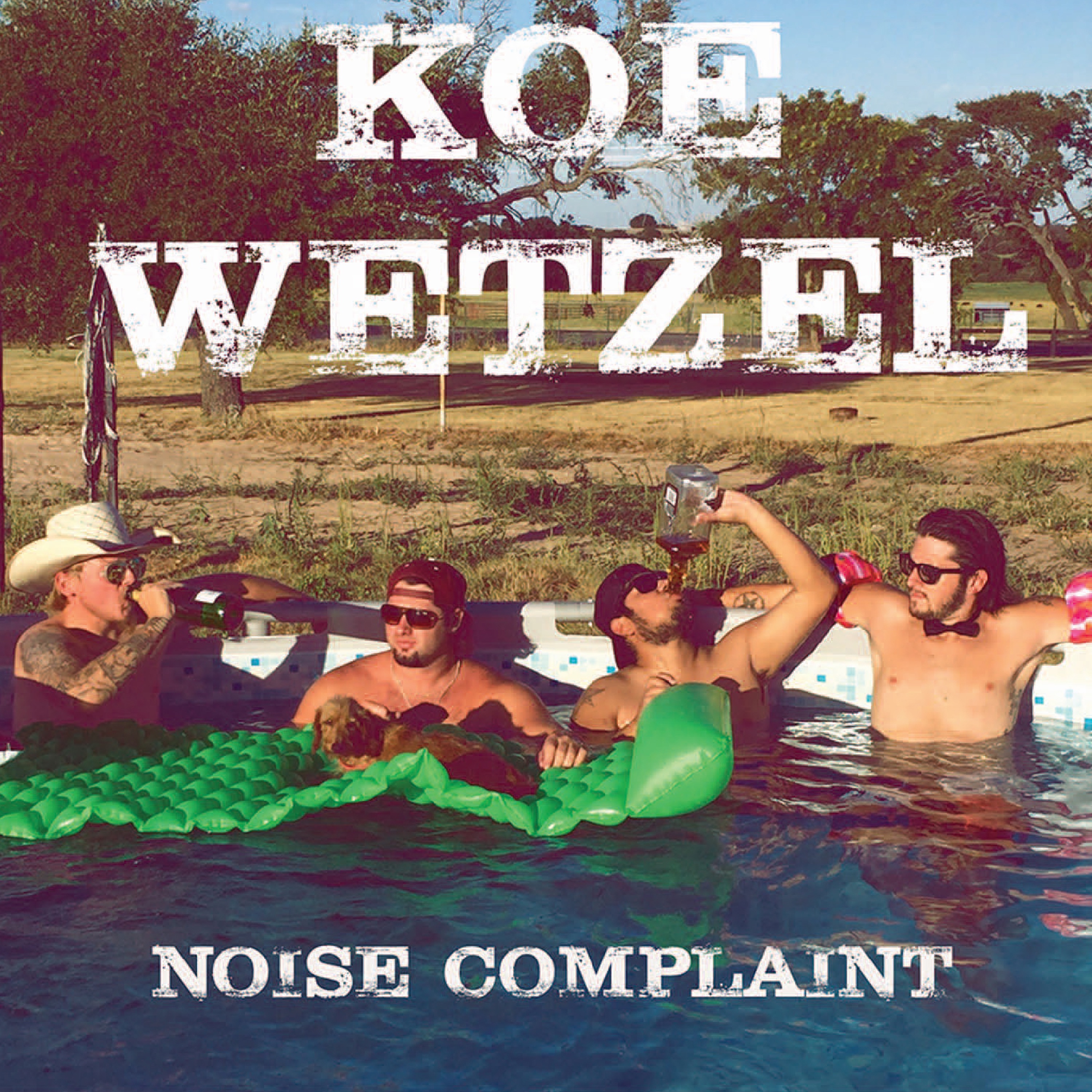 Noise Complaint album cover