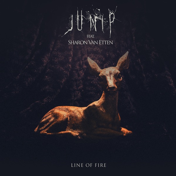 Line Of Fire (feat. Sharon Van Etten) - Single album cover