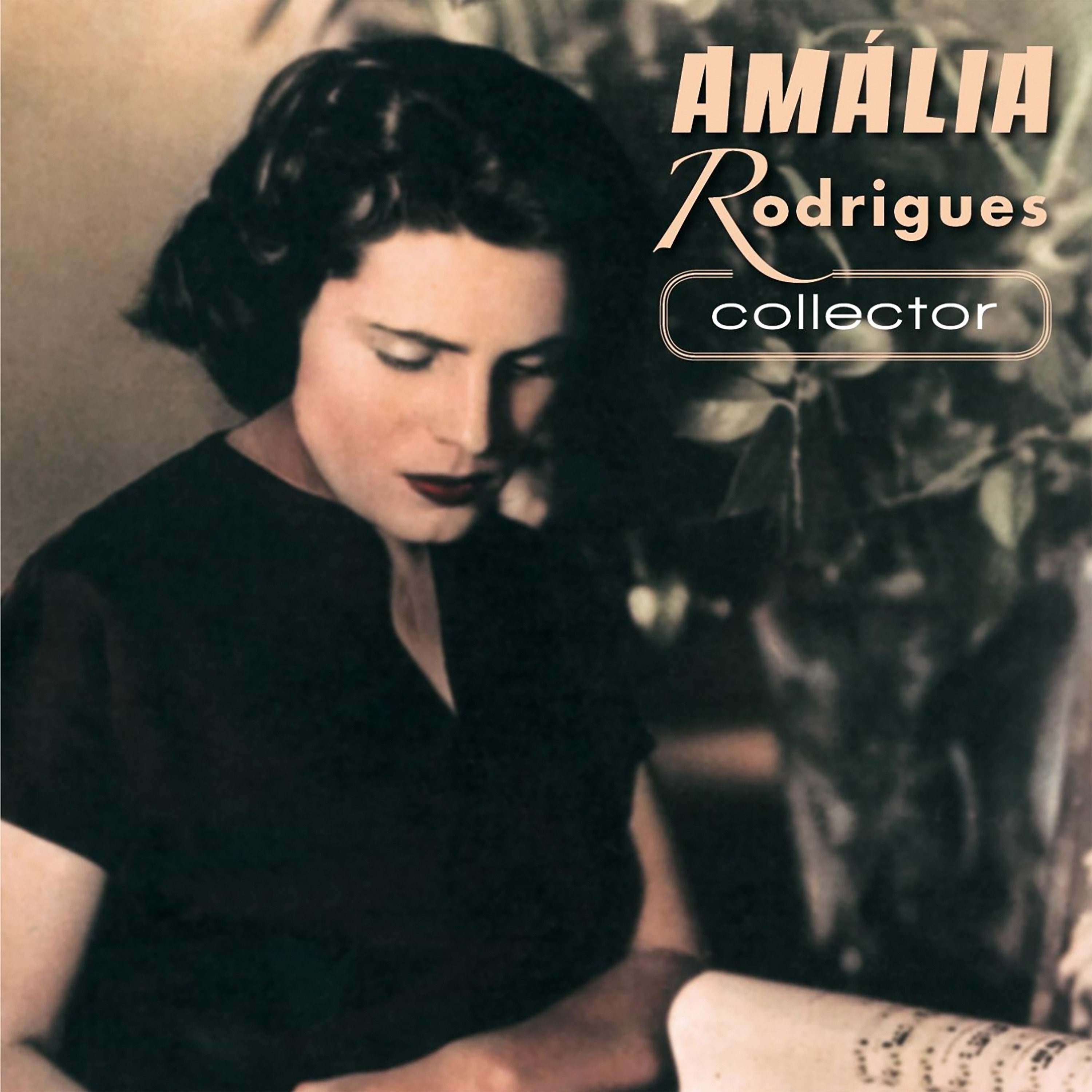 Amália Rodrigues (Collector) album cover