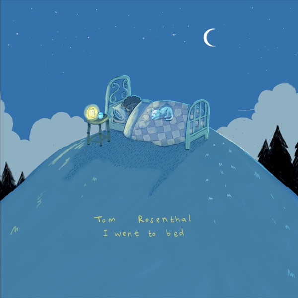 I Went To Bed - Single album cover