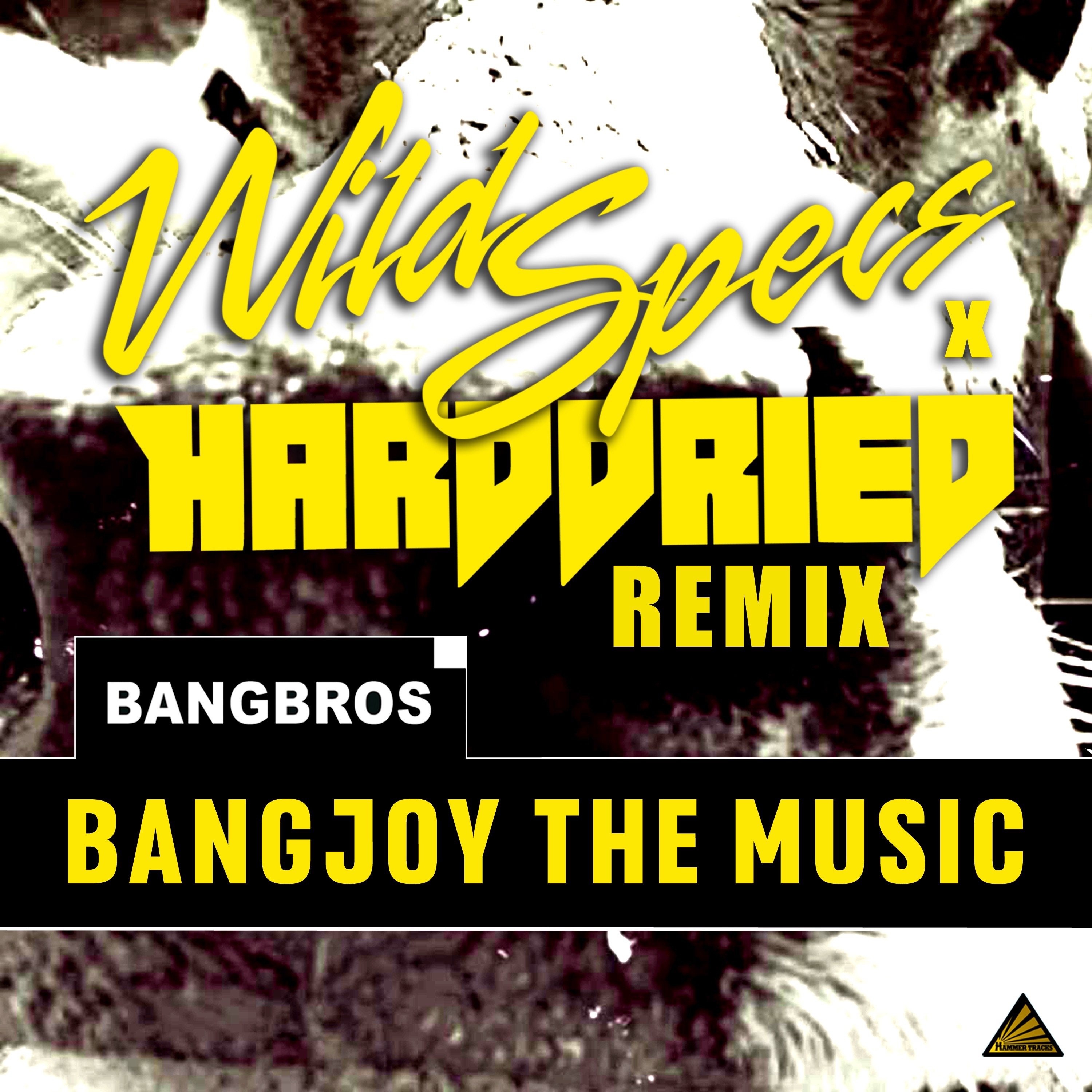 Bangjoy the Music (Wild Specs X Harddried Remix) - Single album cover