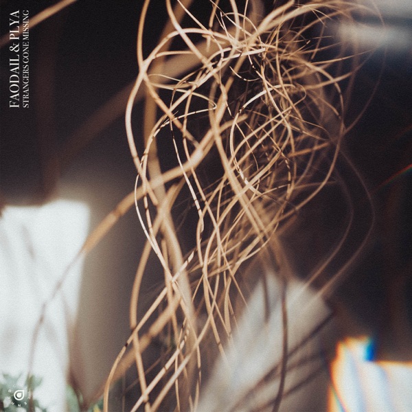 Strangers Gone Missing - Single album cover
