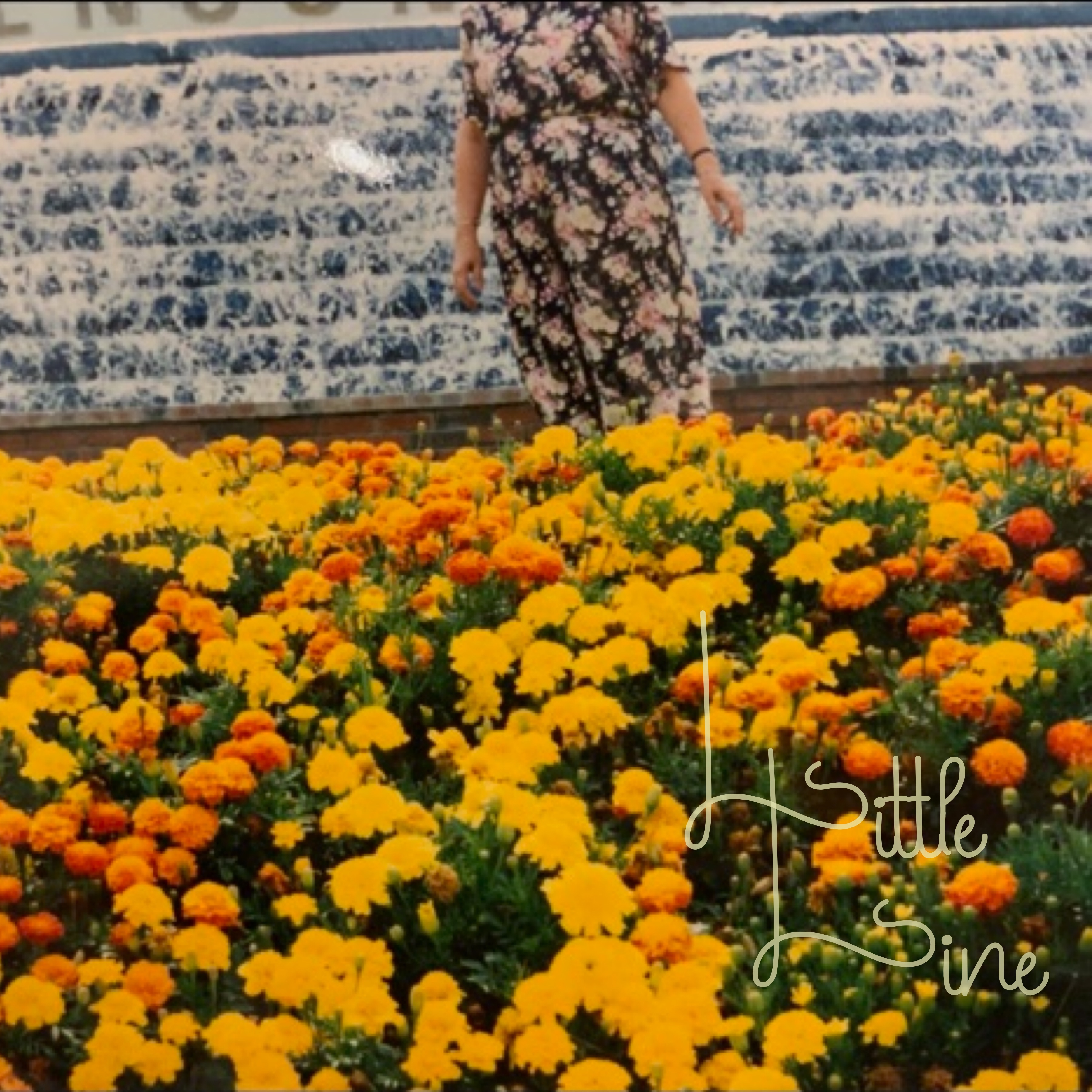 Little Line - EP album cover