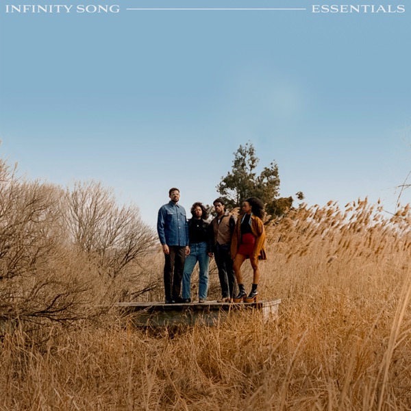 Infinity Song Essentials album cover