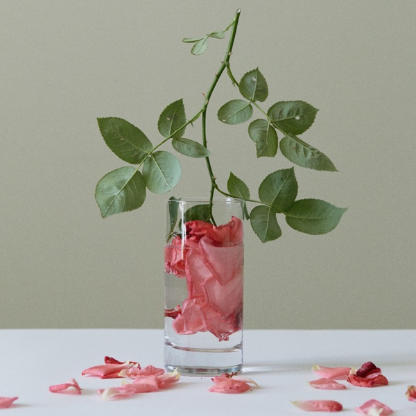 Je suis venu te dire - Single album cover