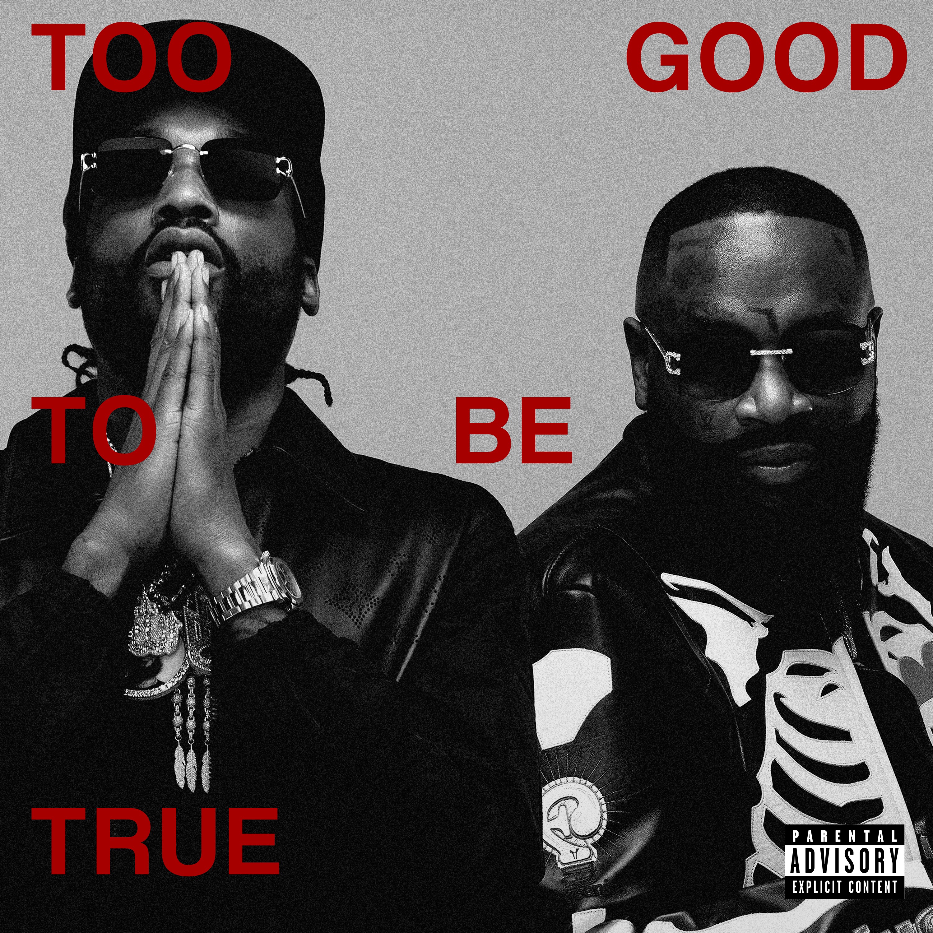 Too Good To Be True album cover
