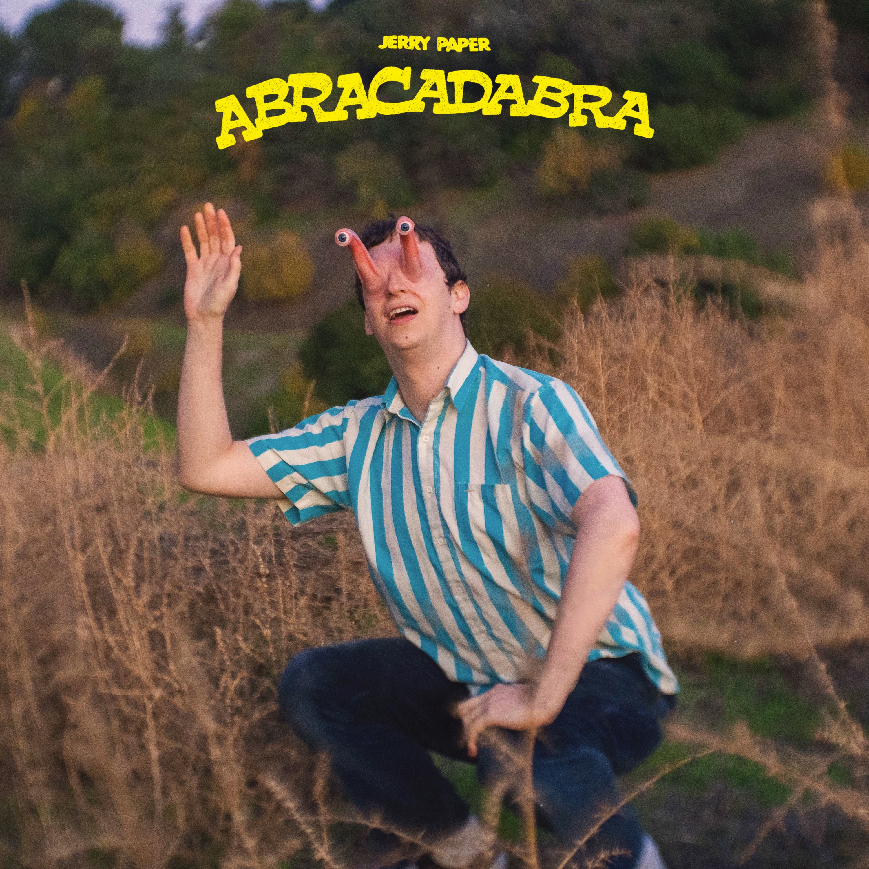 Abracadabra album cover