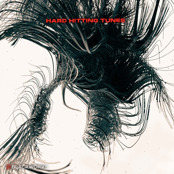 Hard Hitting Tunes album cover