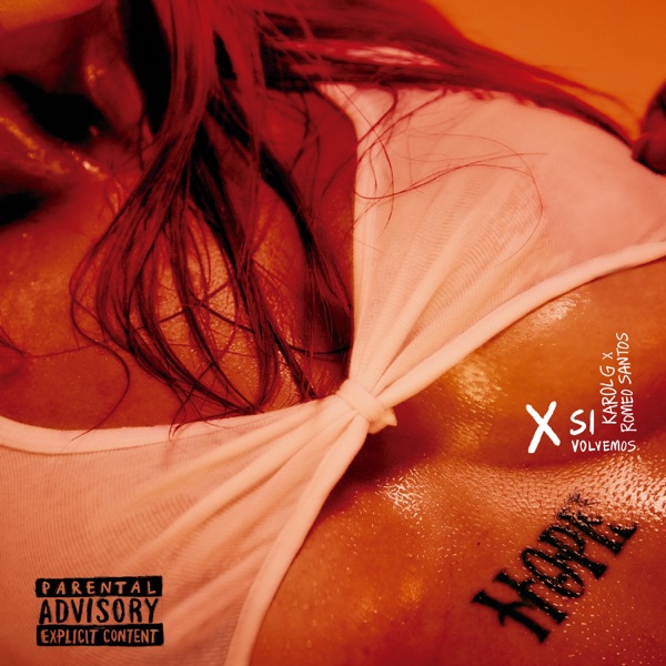 X SI VOLVEMOS - Single album cover