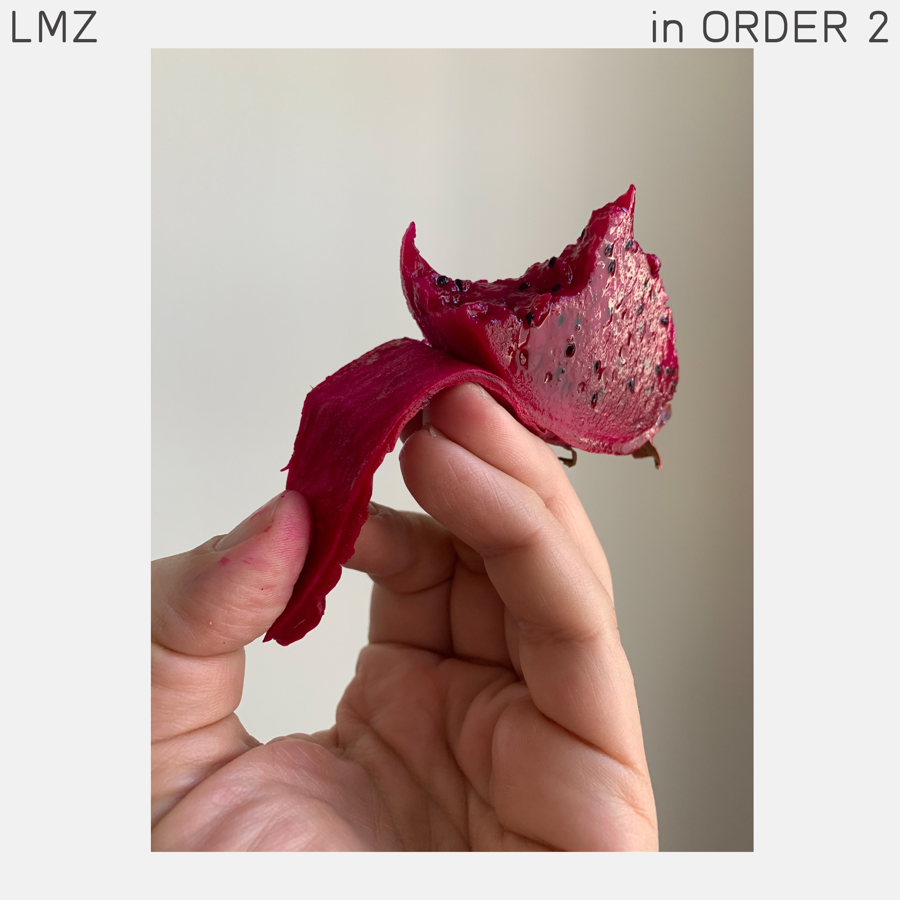 IN ORDER 2 - Single album cover