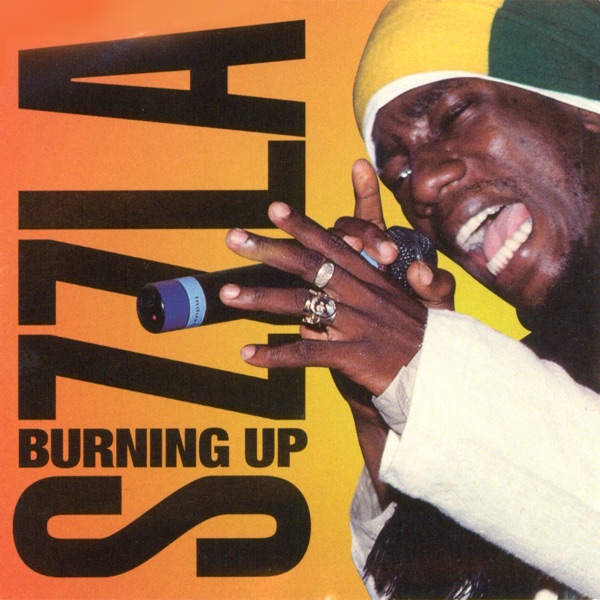 Burning Up album cover