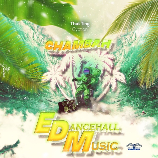 That Ting - Single album cover