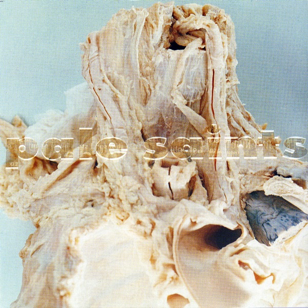 In Ribbons album cover